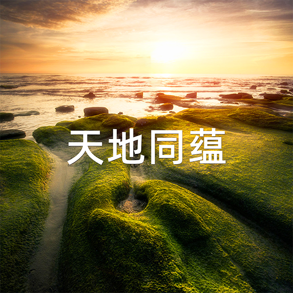 天地同蕴