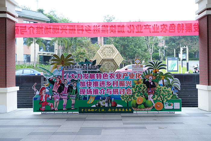 新闻资讯