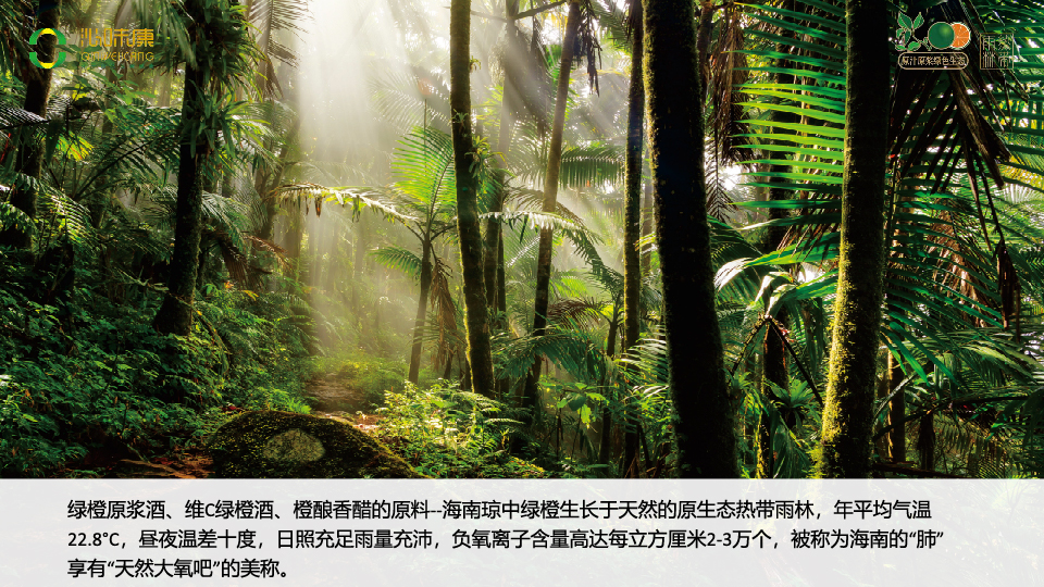 未标题-1-01.jpg